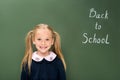 Happy schoolgirl next to chalkboard Royalty Free Stock Photo