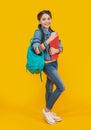 Happy schoolgirl. School education. Teenage girl holding books, education. Schooling and education