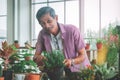 Happy Senior retired man is cutting plant inside his home for welness hobby lifestyle