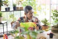 Happy senior asian retired man spraying and watering tree enjoys leisure activity at home