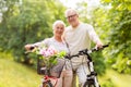 Happy senior couple with bicycles at summer park Royalty Free Stock Photo