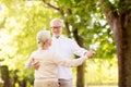 Happy senior couple dancing at summer park Royalty Free Stock Photo