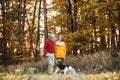 A senior couple with a dog on a walk in an autumn nature. Royalty Free Stock Photo
