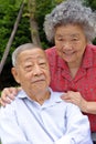 A happy senior couple embraced Royalty Free Stock Photo