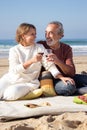 Happy senior couple enjoying picnic at seashore Royalty Free Stock Photo