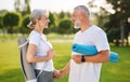 Happy senior couple with exercise rubber mats holding hands smiling and standing on park lawn Royalty Free Stock Photo