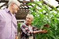 Happy senior couple at farm greenhouse Royalty Free Stock Photo