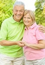 Happy senior couple holding hands Royalty Free Stock Photo