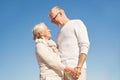 Happy senior couple holding hands outdoors Royalty Free Stock Photo