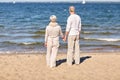 Happy senior couple holding hands summer beach Royalty Free Stock Photo