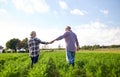 Happy senior couple holding hands at summer farm Royalty Free Stock Photo