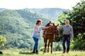 A senior couple holding a horse by his lead on a pasture. Royalty Free Stock Photo