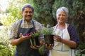 Happy senior couple holding pot plant in garden Royalty Free Stock Photo
