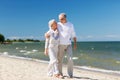 Happy senior couple hugging on summer beach Royalty Free Stock Photo