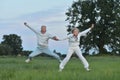 Happy senior couple jumping in the park Royalty Free Stock Photo