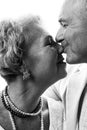 Happy senior couple in love. Close-up portrait of a happy senior couple looking at each other. Royalty Free Stock Photo