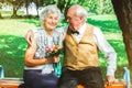 Happy senior couple love story. Old couple is walking in the green park. Grandmother and grandfather laughing. Elderly people Royalty Free Stock Photo