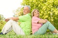 Happy senior couple outdoors Royalty Free Stock Photo