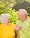 Happy senior couple outdoors Royalty Free Stock Photo