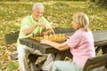 Happy senior couple playing chess