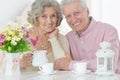 Portrait of happy senior couple posing and drinking tea at home Royalty Free Stock Photo