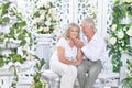 Portrait of happy senior couple posing in light cozy room Royalty Free Stock Photo