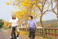 Happy senior couple ride on bicycle in the park Royalty Free Stock Photo