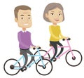 Happy senior couple riding on bicycles. Royalty Free Stock Photo