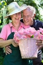 Happy senior couple with rose cuttings in garden. Royalty Free Stock Photo