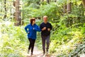 Happy senior couple running together Royalty Free Stock Photo