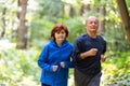 Happy senior couple running together Royalty Free Stock Photo