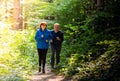 Happy senior couple running together Royalty Free Stock Photo