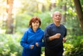 Happy senior couple running together Royalty Free Stock Photo