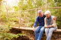 Happy senior couple sitting on bridge in forest, horizontal Royalty Free Stock Photo