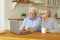 Happy senior couple sitting in front of laptop at home and video calling grandchildren Royalty Free Stock Photo