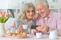 Portrait of happy senior couple with smartphone drinking tea Royalty Free Stock Photo