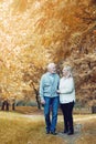 Happy senior couple smiling outdoors in nature Royalty Free Stock Photo