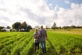 Happy senior couple at summer farm Royalty Free Stock Photo