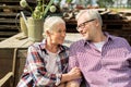 Happy senior couple at summer farm Royalty Free Stock Photo