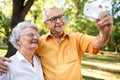 Happy senior couple taking selfie in park Royalty Free Stock Photo