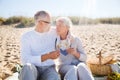 Happy senior couple talking on summer beach Royalty Free Stock Photo