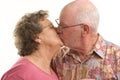 Happy Senior Couple Toasting Royalty Free Stock Photo