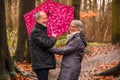 Senior couple walking in autumn forest with pink umbrella Royalty Free Stock Photo
