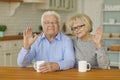 Happy senior couple waving hands, looking at camera and smiling while drinking tea in the kitchen Royalty Free Stock Photo