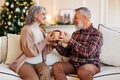 Happy senior european couple sit together on sofa near decorated tree at home with xmas gift box Royalty Free Stock Photo