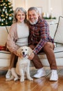 Happy senior family couple sit near decorated Christmas tree at home with dog golden retriever puppy Royalty Free Stock Photo