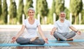 Happy senior husband and wife meditating in lotus position during yoga outdoors Royalty Free Stock Photo