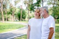 Happy senior loving couple relaxing at park embracing together in morning time. old people  hugging and enjoying spending time in Royalty Free Stock Photo