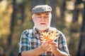 Happy senior man hiking in autumn in nature. Senior man walking in the park in autumn Royalty Free Stock Photo