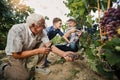 Senior is picking grapes with his son and grandson